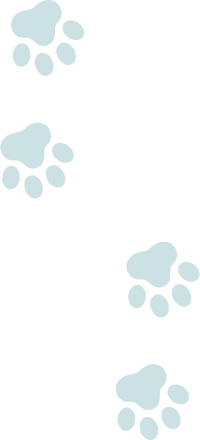 肉球のイラスト