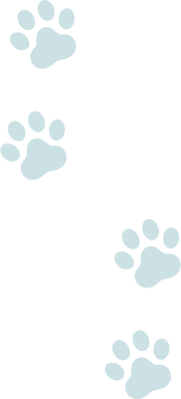 肉球のイラスト